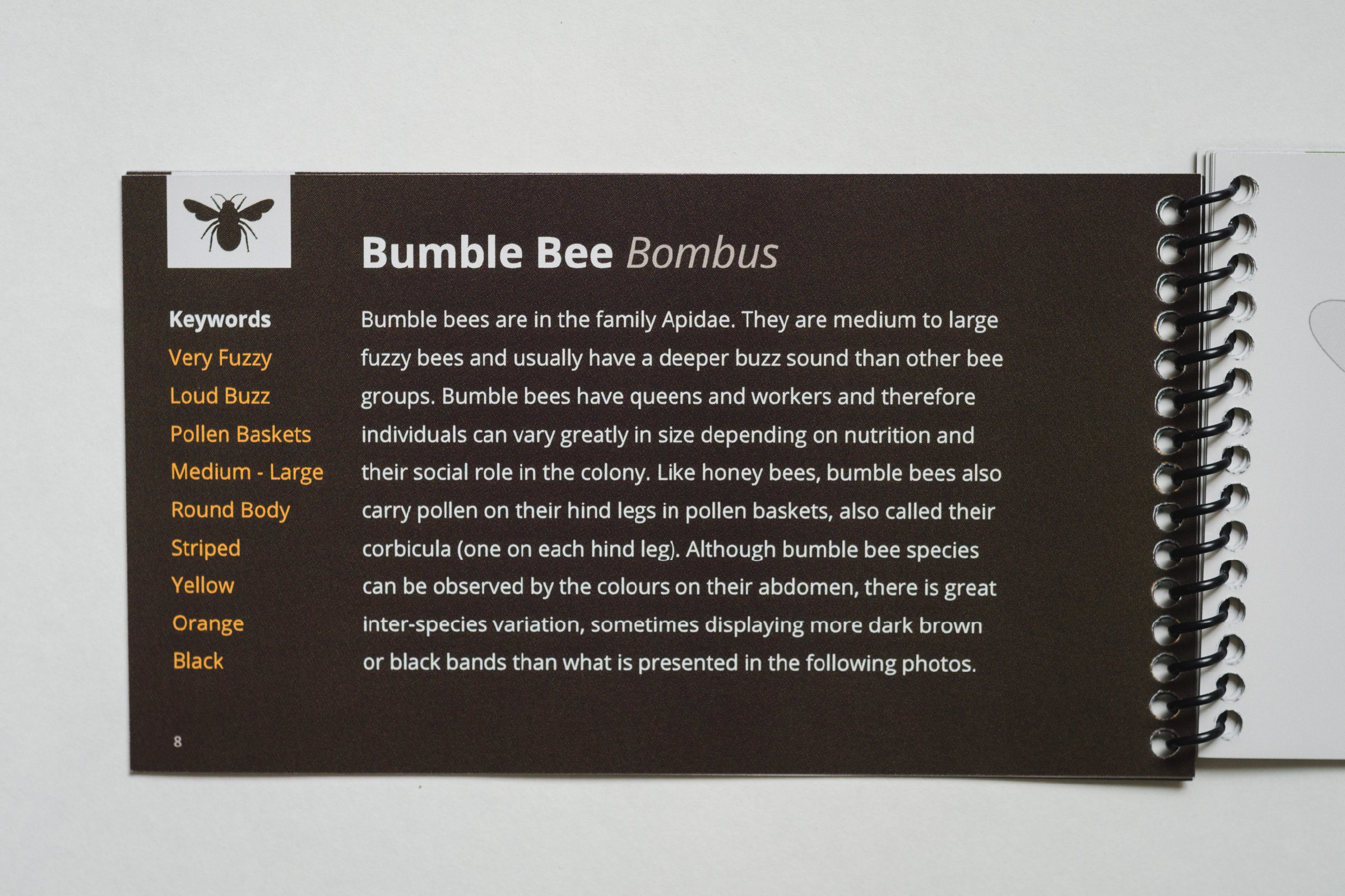 Pollinators of British Columbia: A Visual Guide - Geo Design Co
