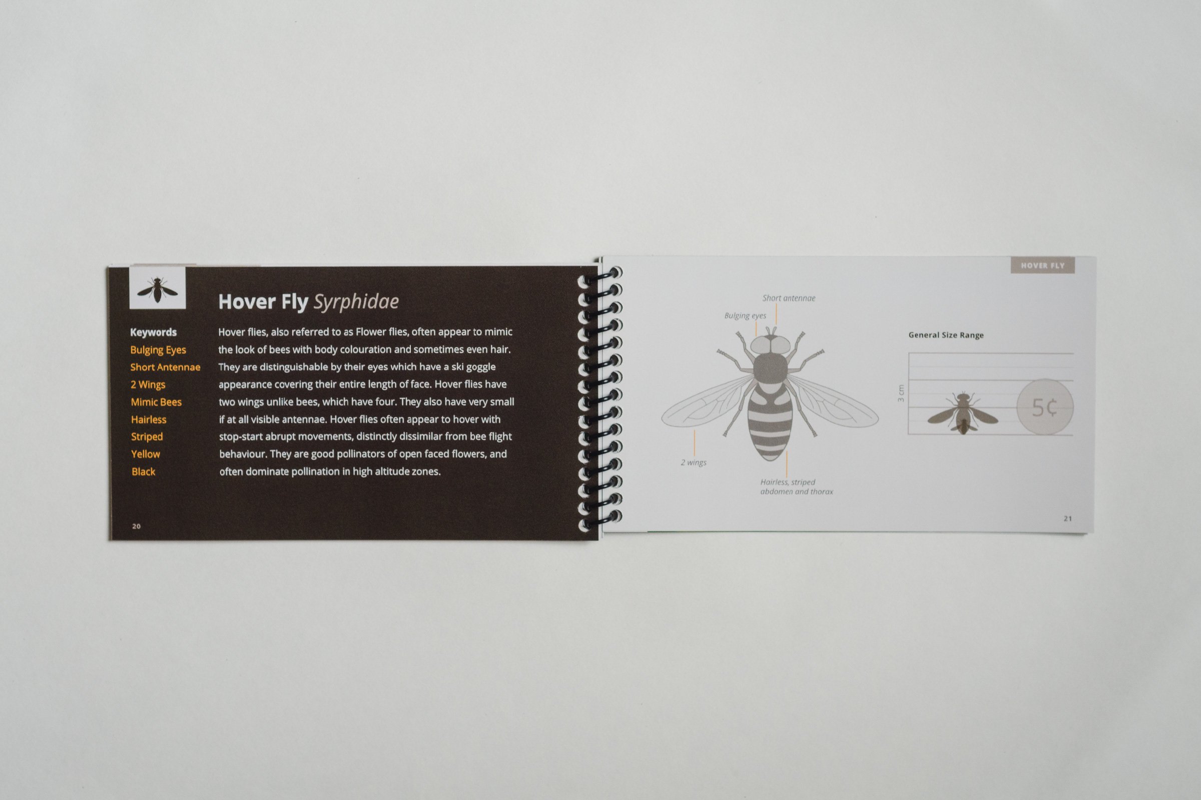 Pollinators of British Columbia: A Visual Guide - Geo Design Co
