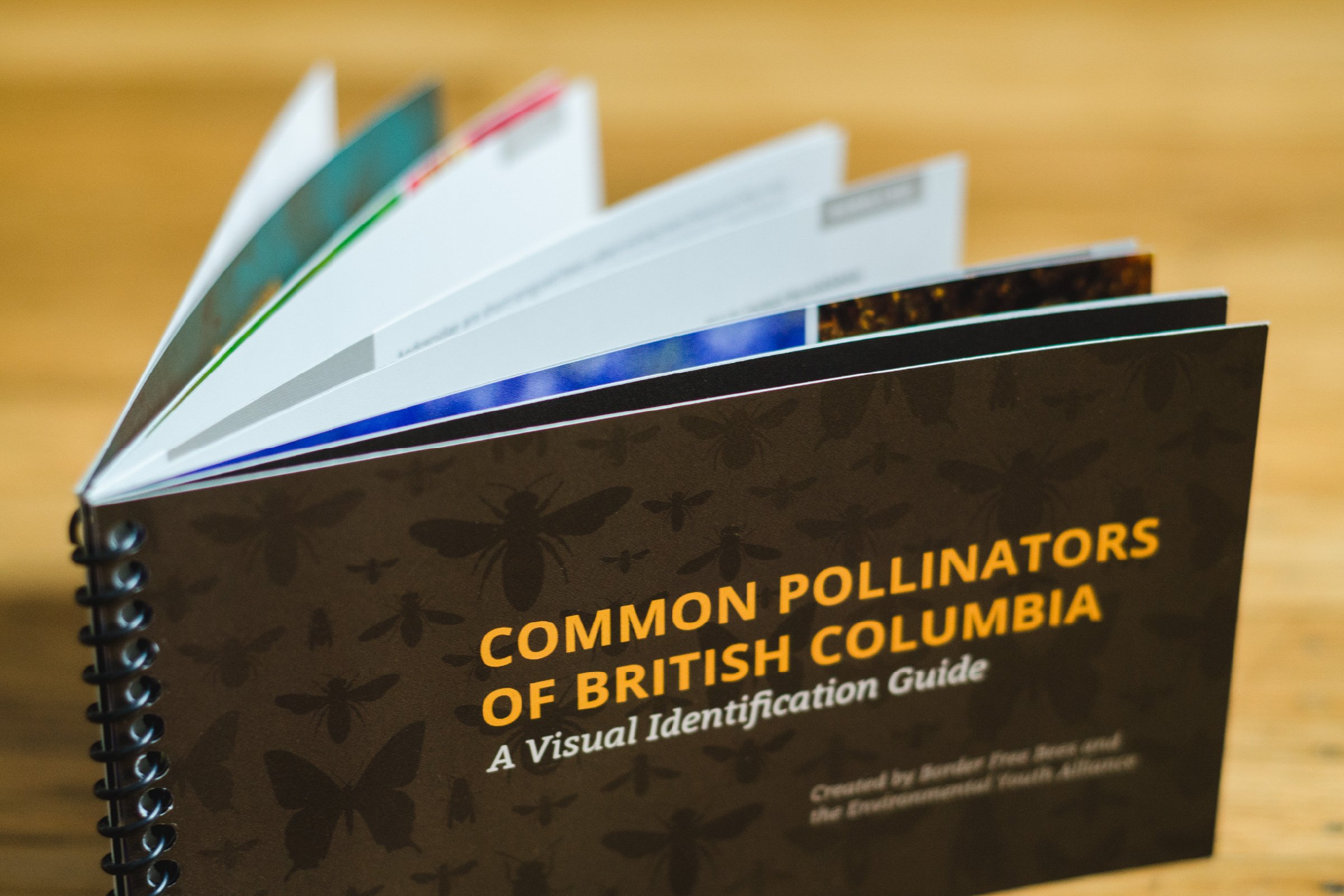 Pollinators of British Columbia: A Visual Guide - Geo Design Co