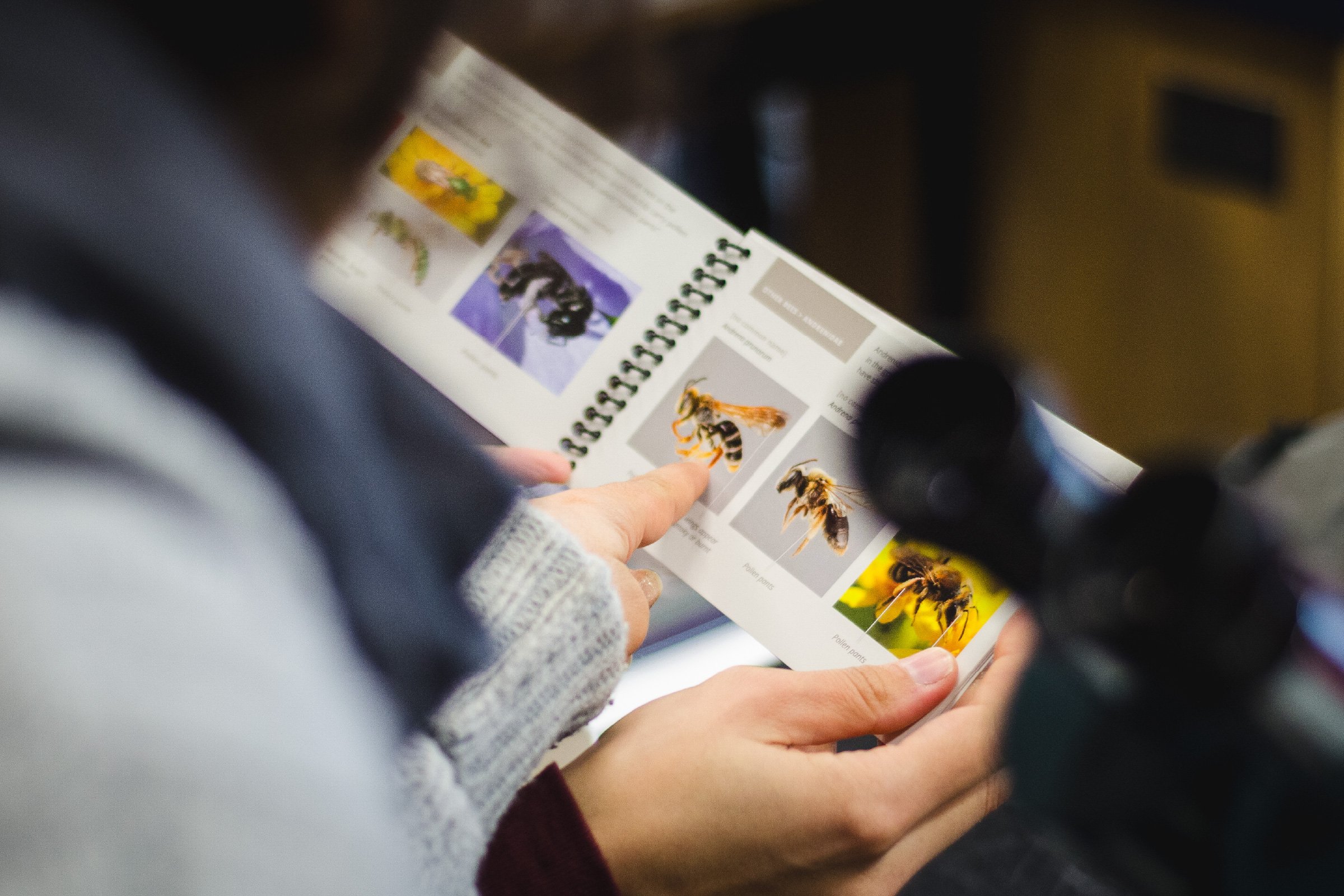 Pollinators of British Columbia: A Visual Guide - Geo Design Co